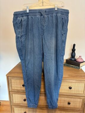 Gap Denim Pull-On Joggers Medium Wash Elastic Waist XL